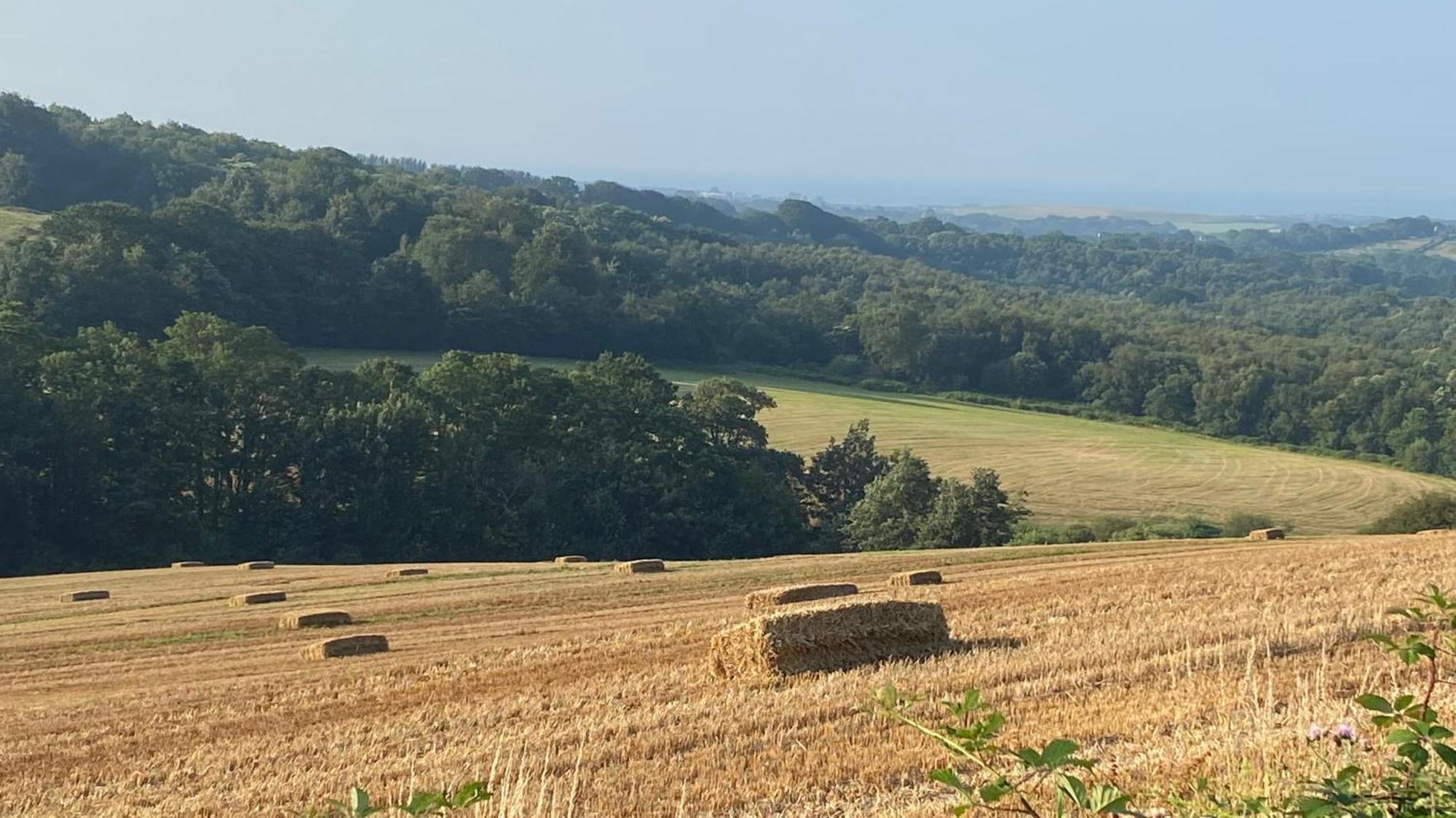 Pyes Granary